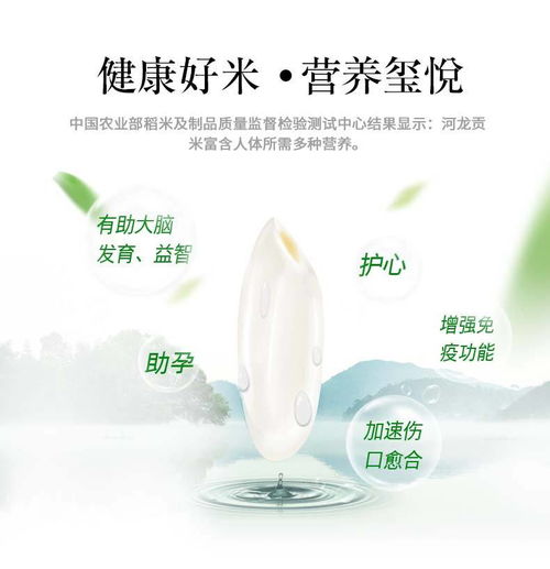 伊盆 河龍貢米璽悅5kg 寧化優(yōu)質(zhì)綠色食品大米秈米10斤 純?nèi)斯しN植